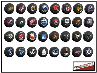 NHL Team Logo Basic Pucks