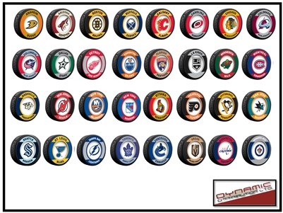 NHL Team Logo Retro Pucks