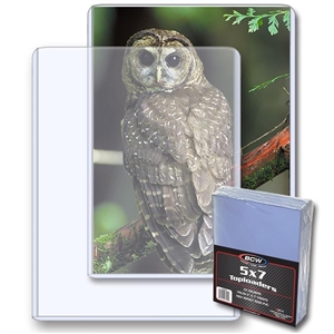 BCW Toploader - 5x7